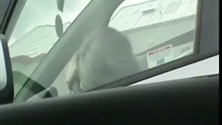 Grosse Bite porno des animaux Baise une Fille à gondon